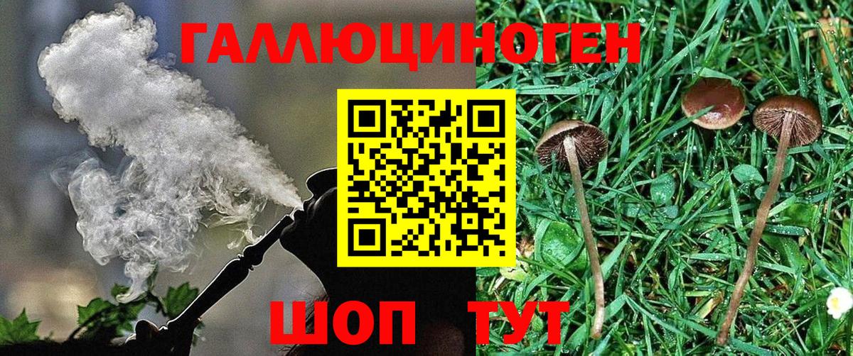 Псилоцибиновые грибы мухоморы  Вход с VPN  Тайшет  Галлюциногенные грибы Magic Shrooms 